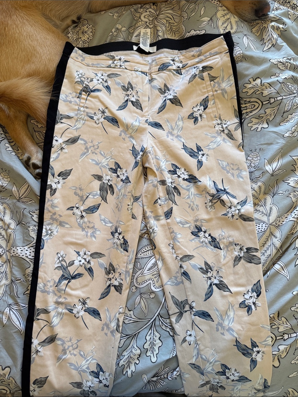 89th + Madison Floral Beige Pants with Black Waistband & Tuxedo Stripe